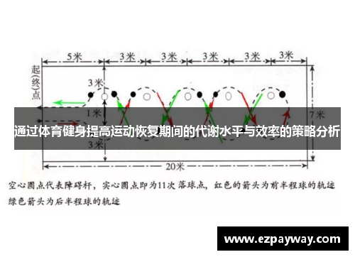 通过体育健身提高运动恢复期间的代谢水平与效率的策略分析